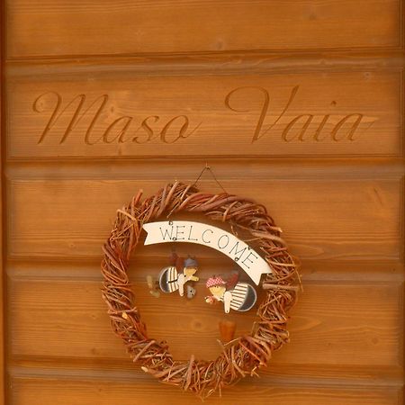 Maso Vaia Bed and Breakfast Cavalese Exteriör bild